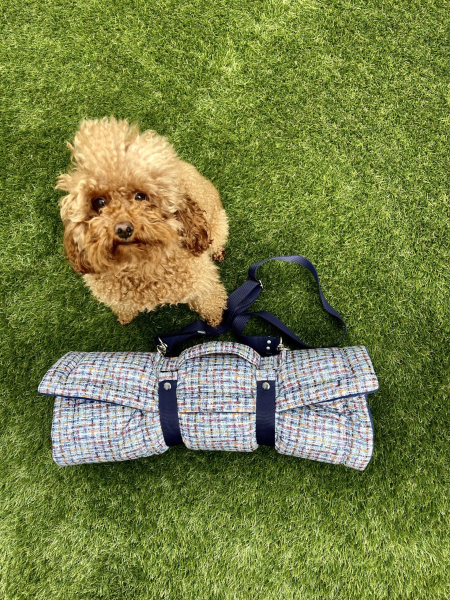 RollDog